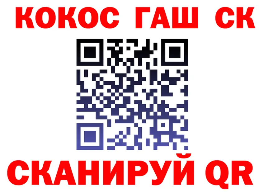 A PVP СК зеркало площадка OMG Кологрив